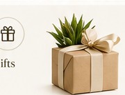 Gifts