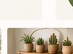 Tahani Plants Instagram image