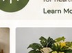 Tahani Plants Instagram image