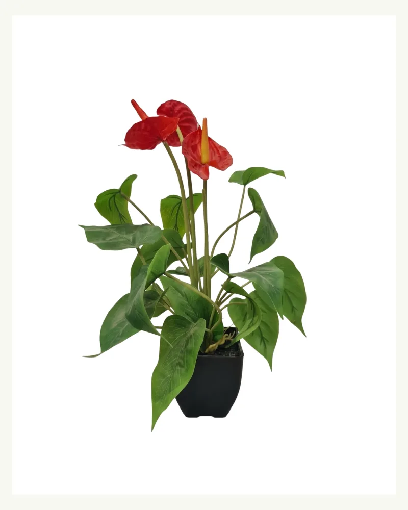 Artificial Anthurium Red Plant #50357