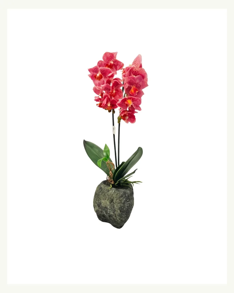 Artificial Phalaenopsis Orchid with Pot