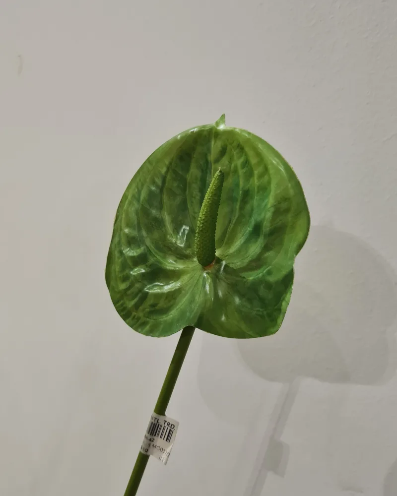 Artificial Flower Anthurium Green #50642