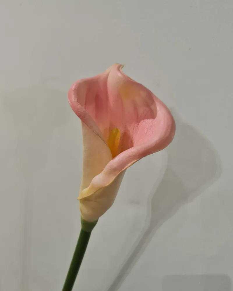 Artificial Flower Calla Pink #50165