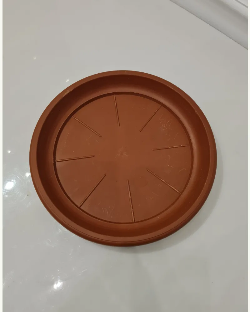 Plastic Plate Medium #52184